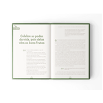 plenitude-vista-interna-v4
