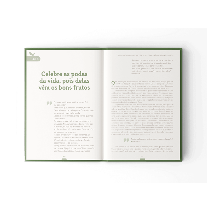 plenitude-vista-interna-v4