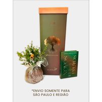Kit Premium Novos Frutos - Livro + Kokedama + Caixa Especial