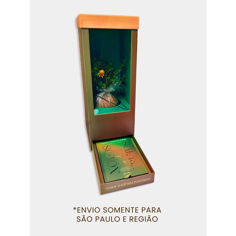 kit-novos-frutos_imagem3.jpg